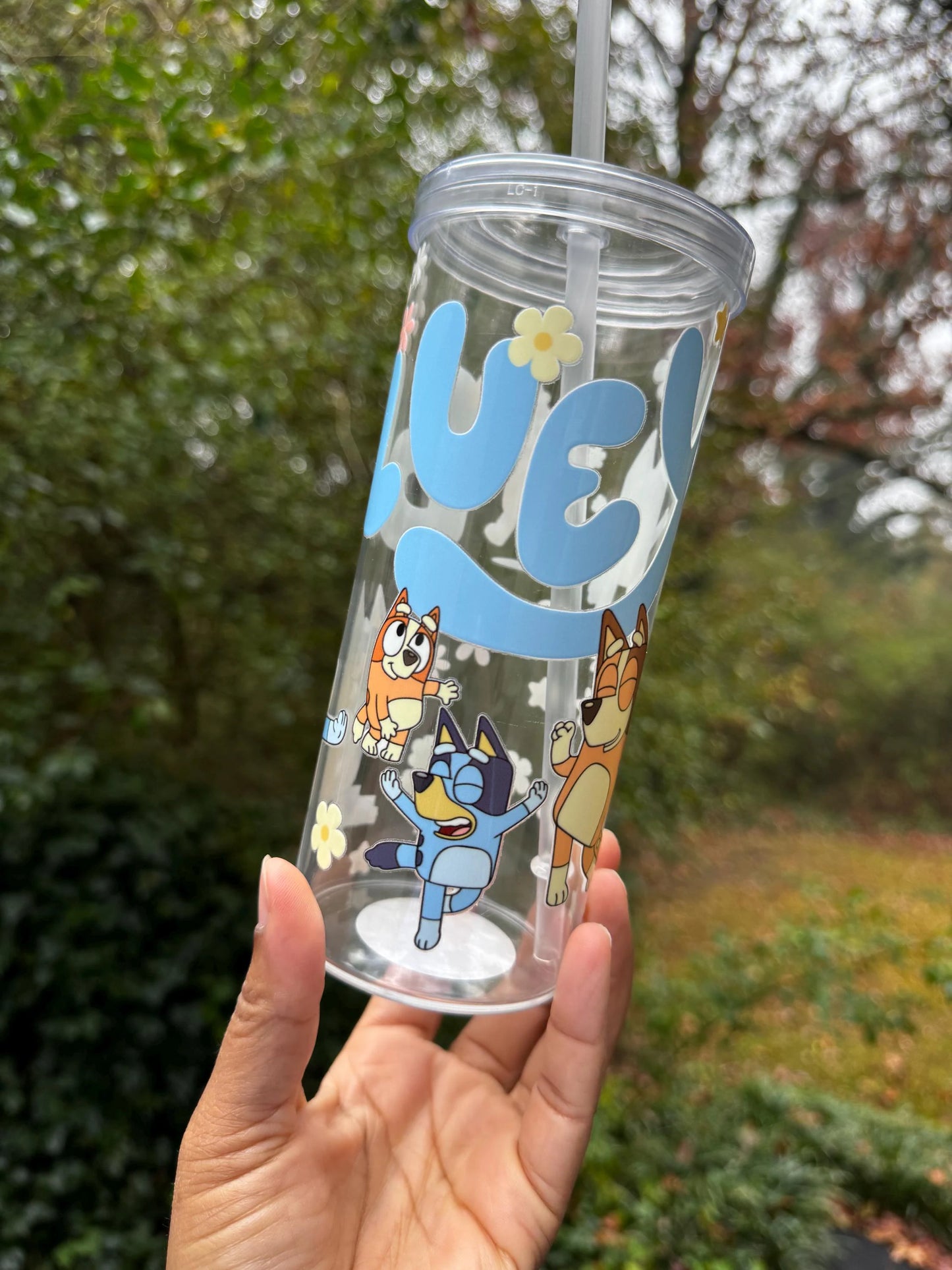 Bluey 20oz Cup, Bluey, Character Cup, Character Plastic Cup